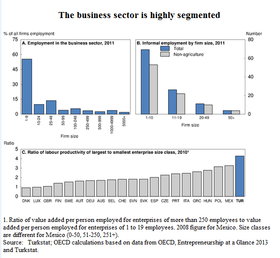 Turkey Business Sector